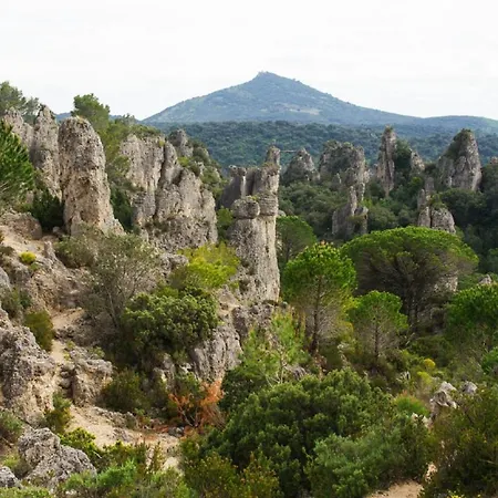 Le Cocon: Charming 3-star In Center * Beziers